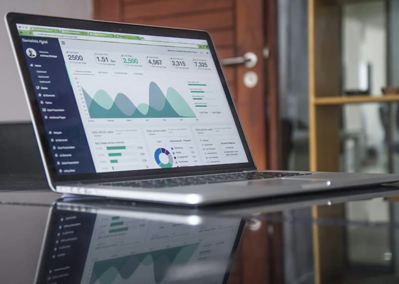Small business owner conducting an SEO audit using website analytics and technical checklist on a laptop
